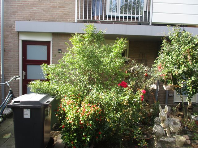 Montfortstraat 36, 5951 JB Belfeld, Nederland