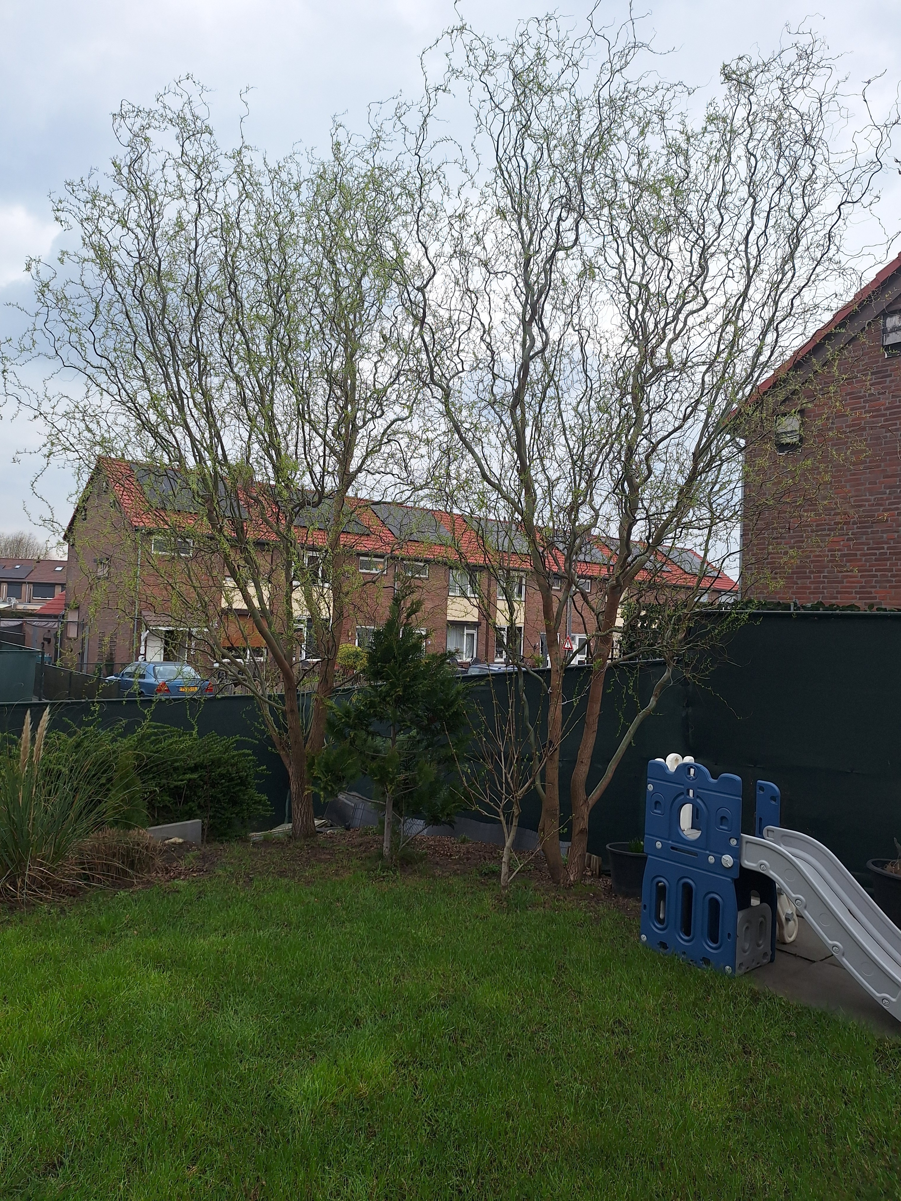 Burgemeester Corbeijstraat 22