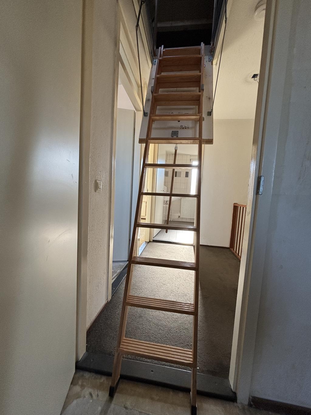 Prins Willemstraat 40