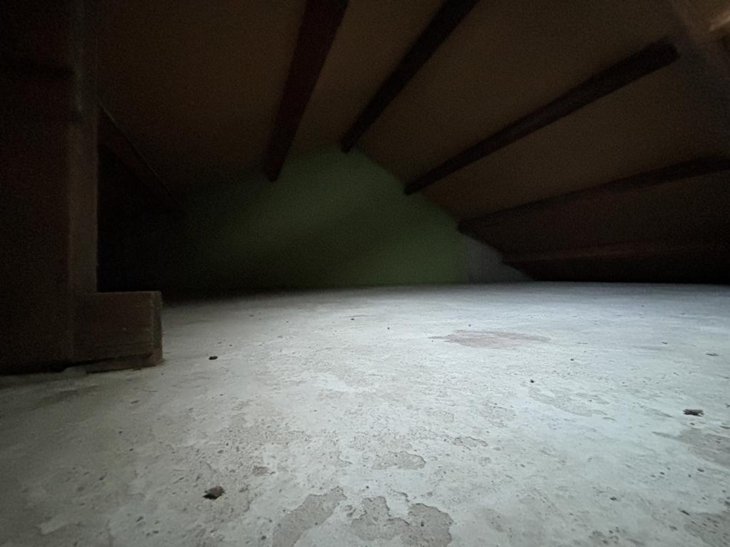 Prins Willemstraat 40