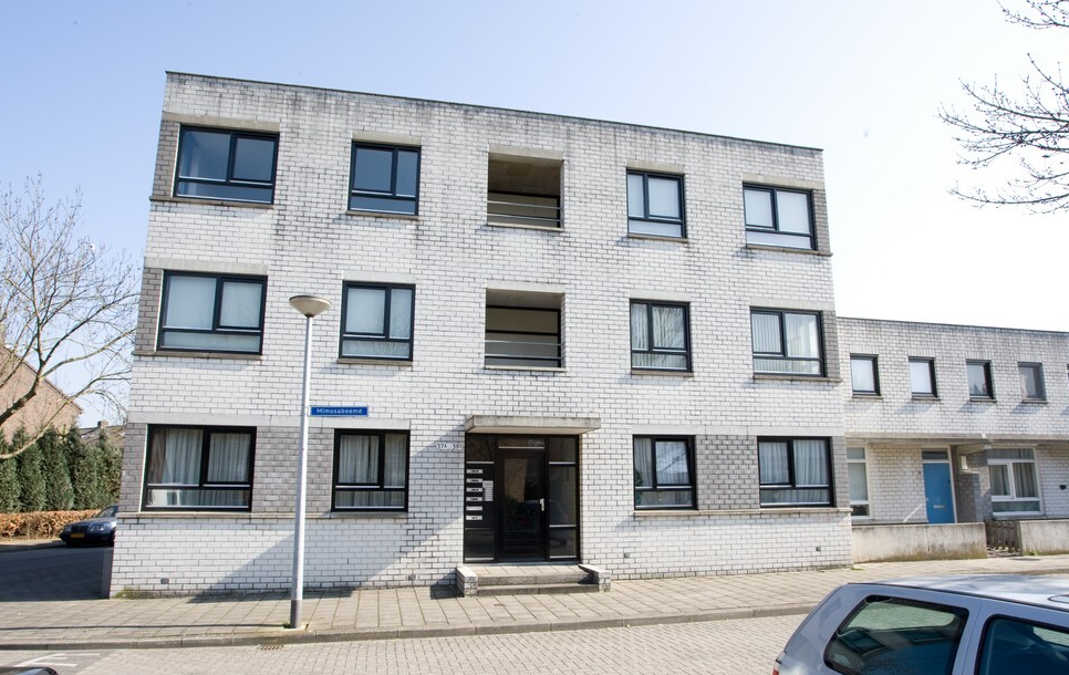Mimosabeemd 39C, Maastricht