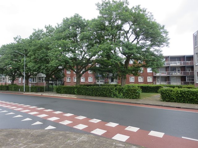 Houtsnipstraat 9