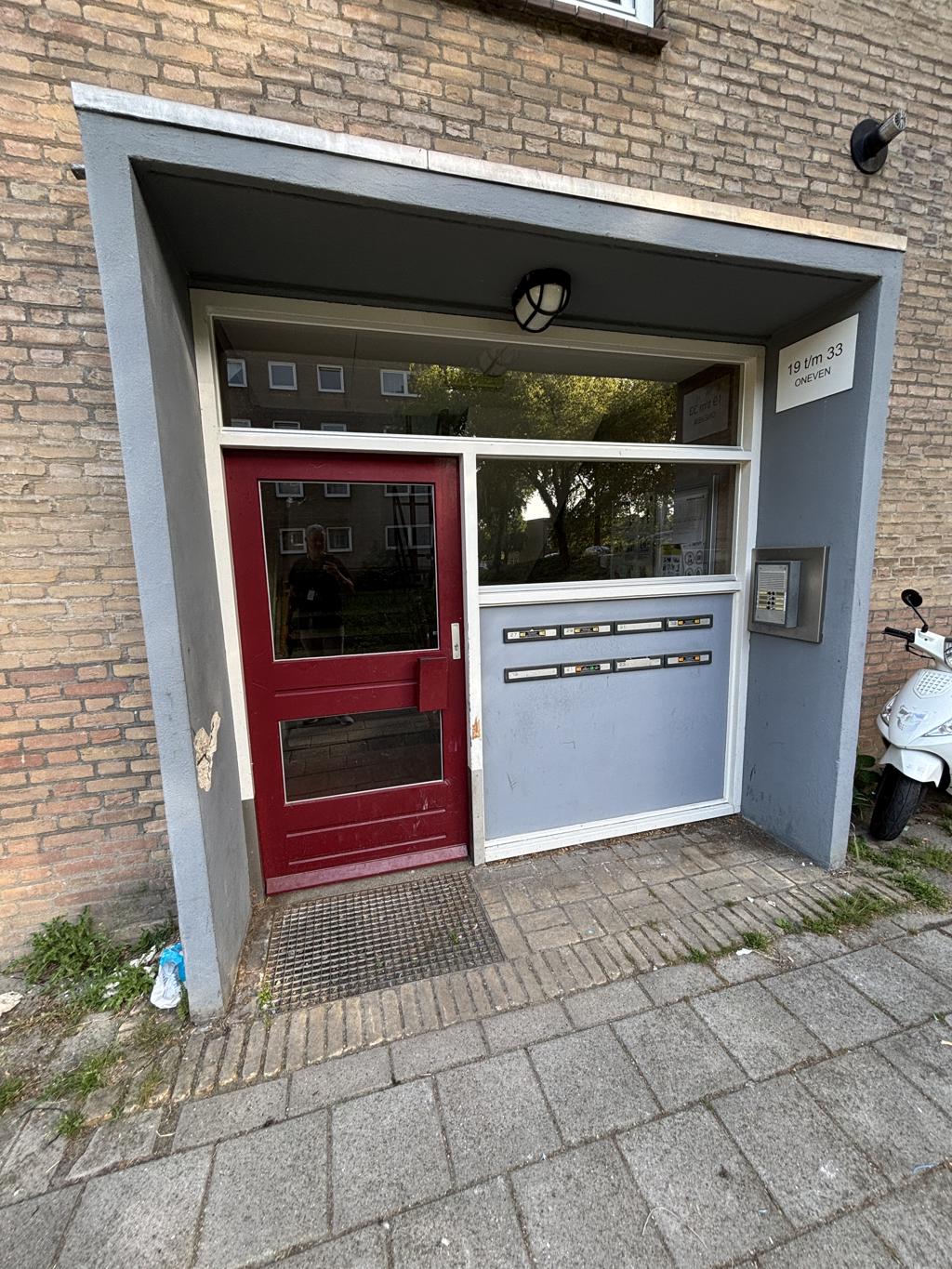 Steenberglaan 31