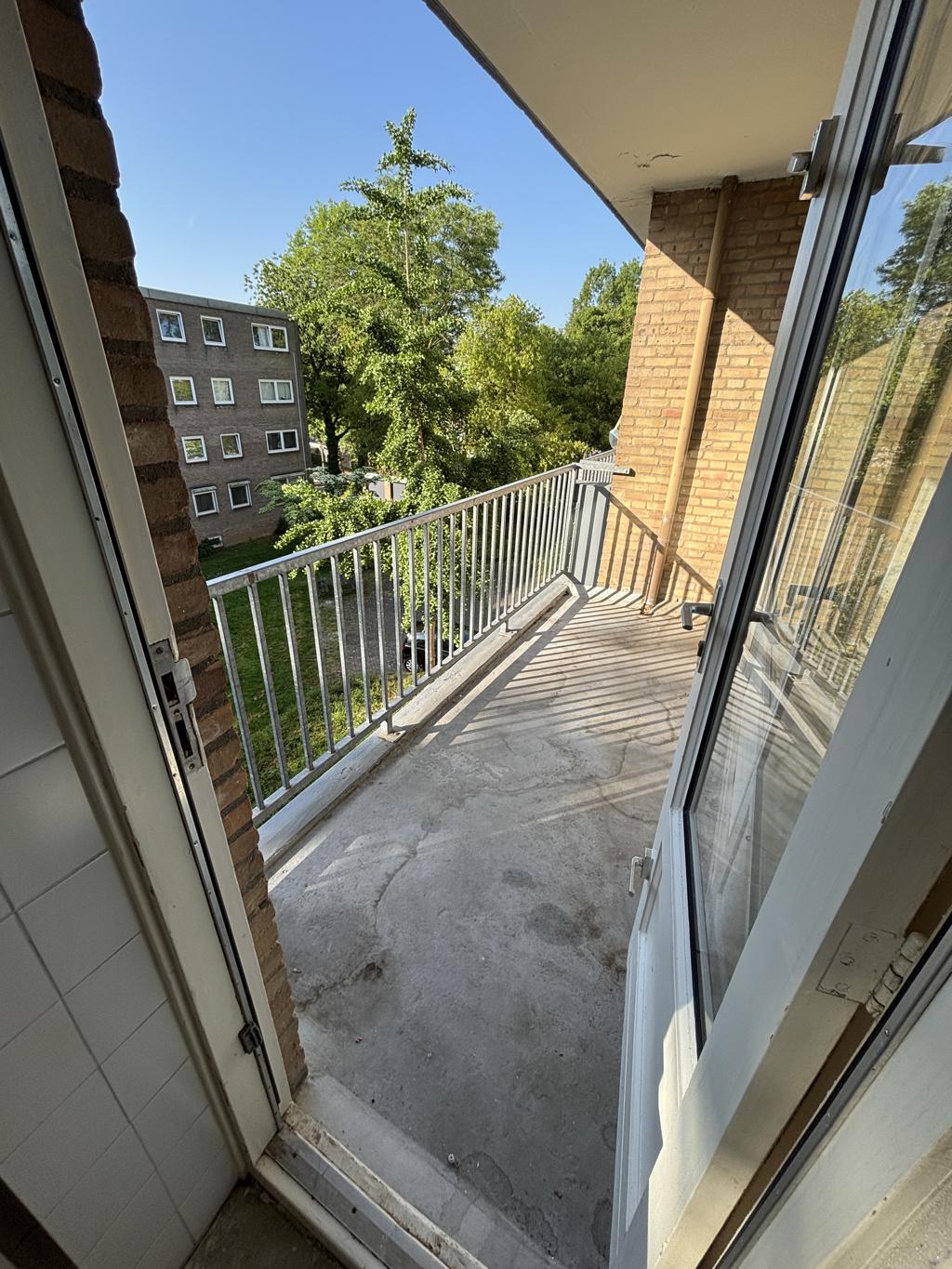 Steenberglaan 31
