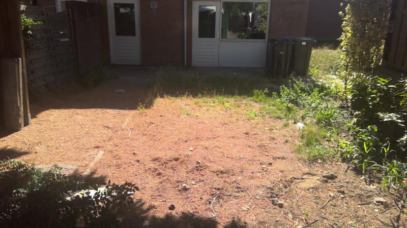 Prins Willemstraat 24