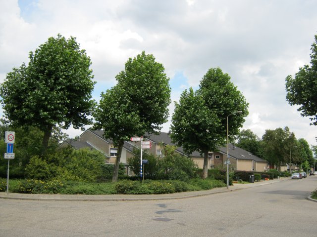 Goethelaan 48