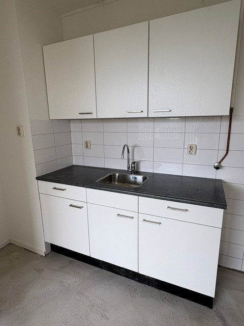 Henri Dunantstraat 619