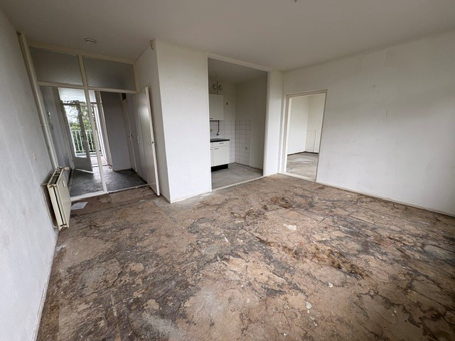 Henri Dunantstraat 619