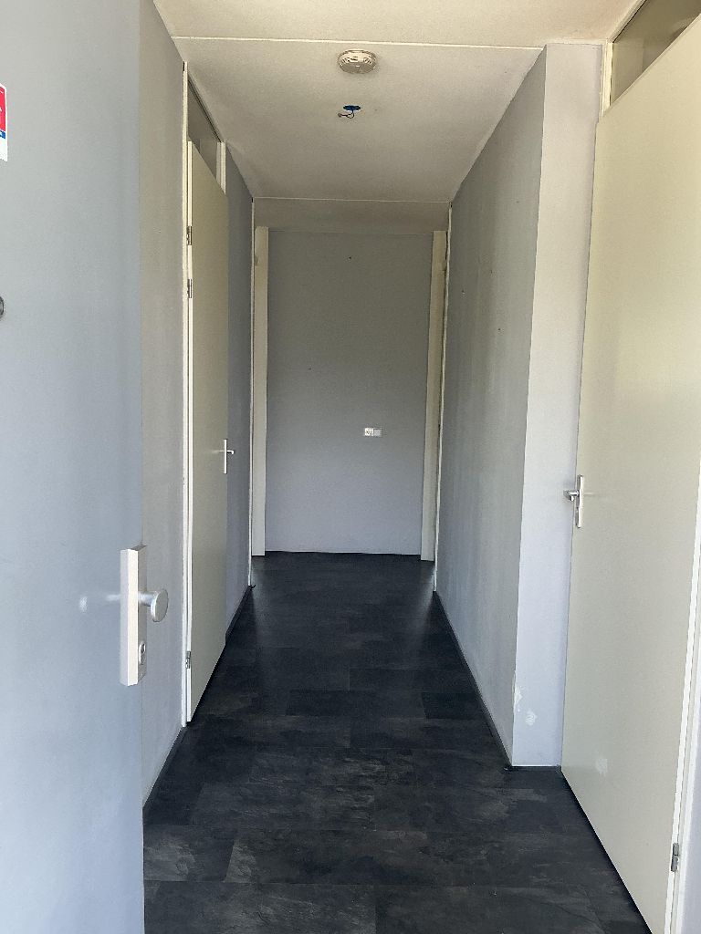 Burgemeester Lemmensstraat 129