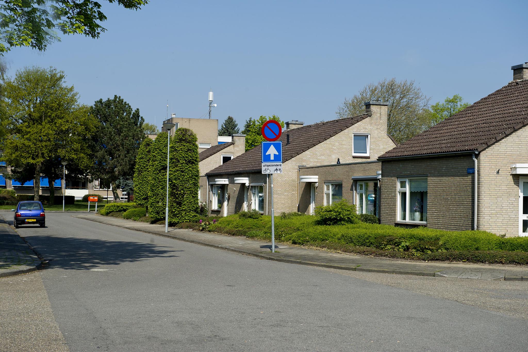 Panhuys 50