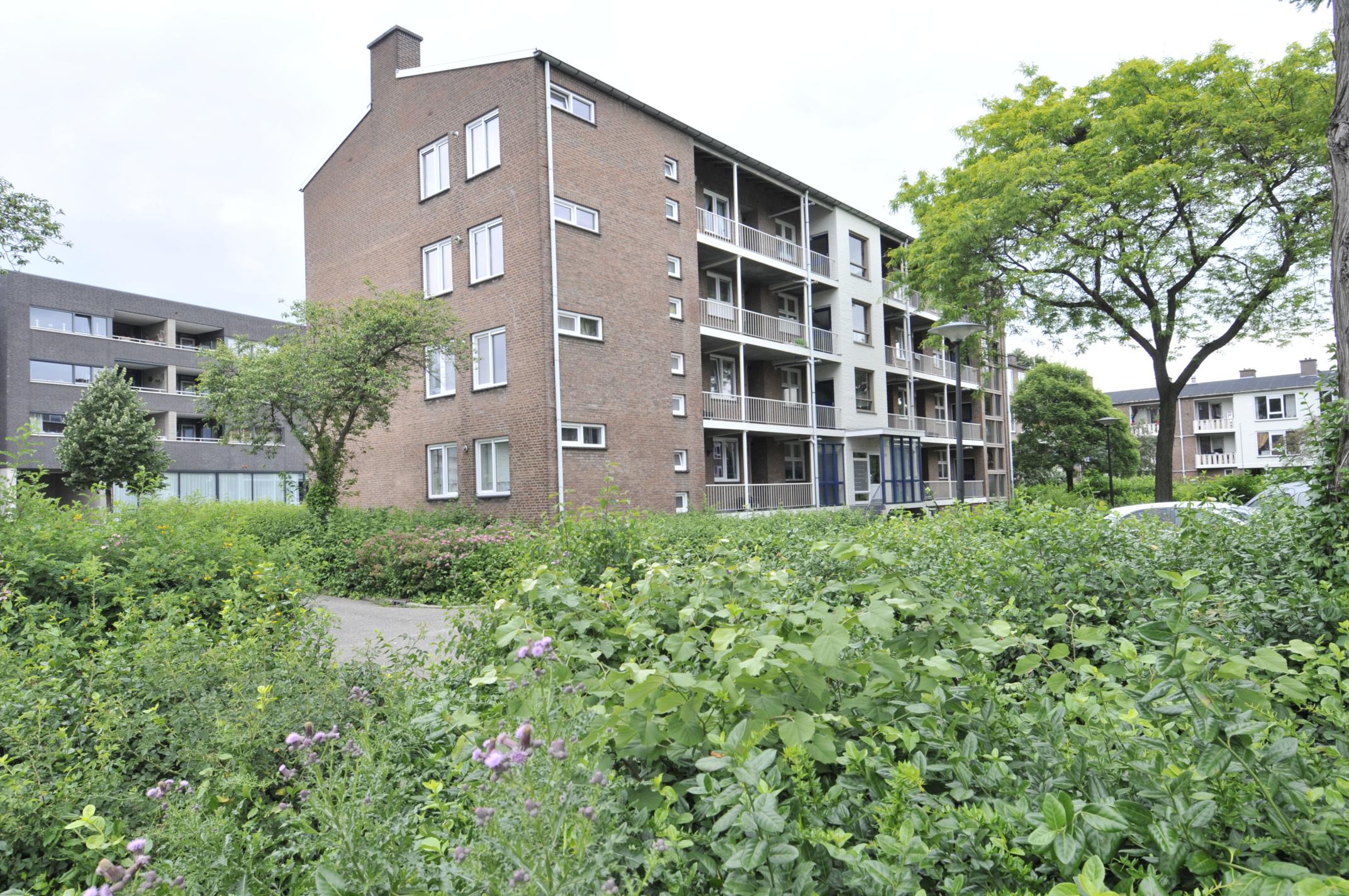Elbert Franssenstraat 7, 6042 BD Roermond, Nederland