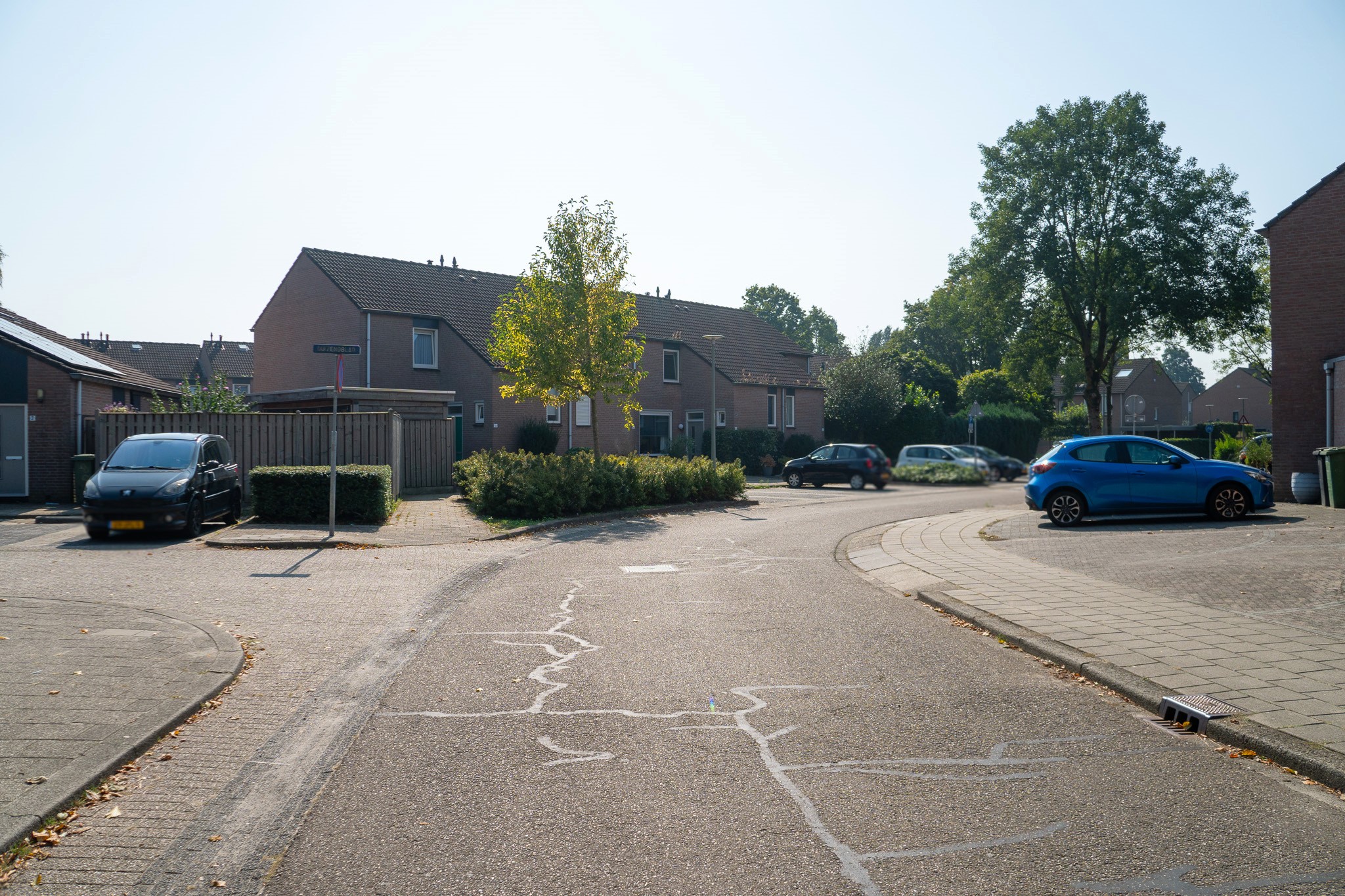 Boterbloem 57