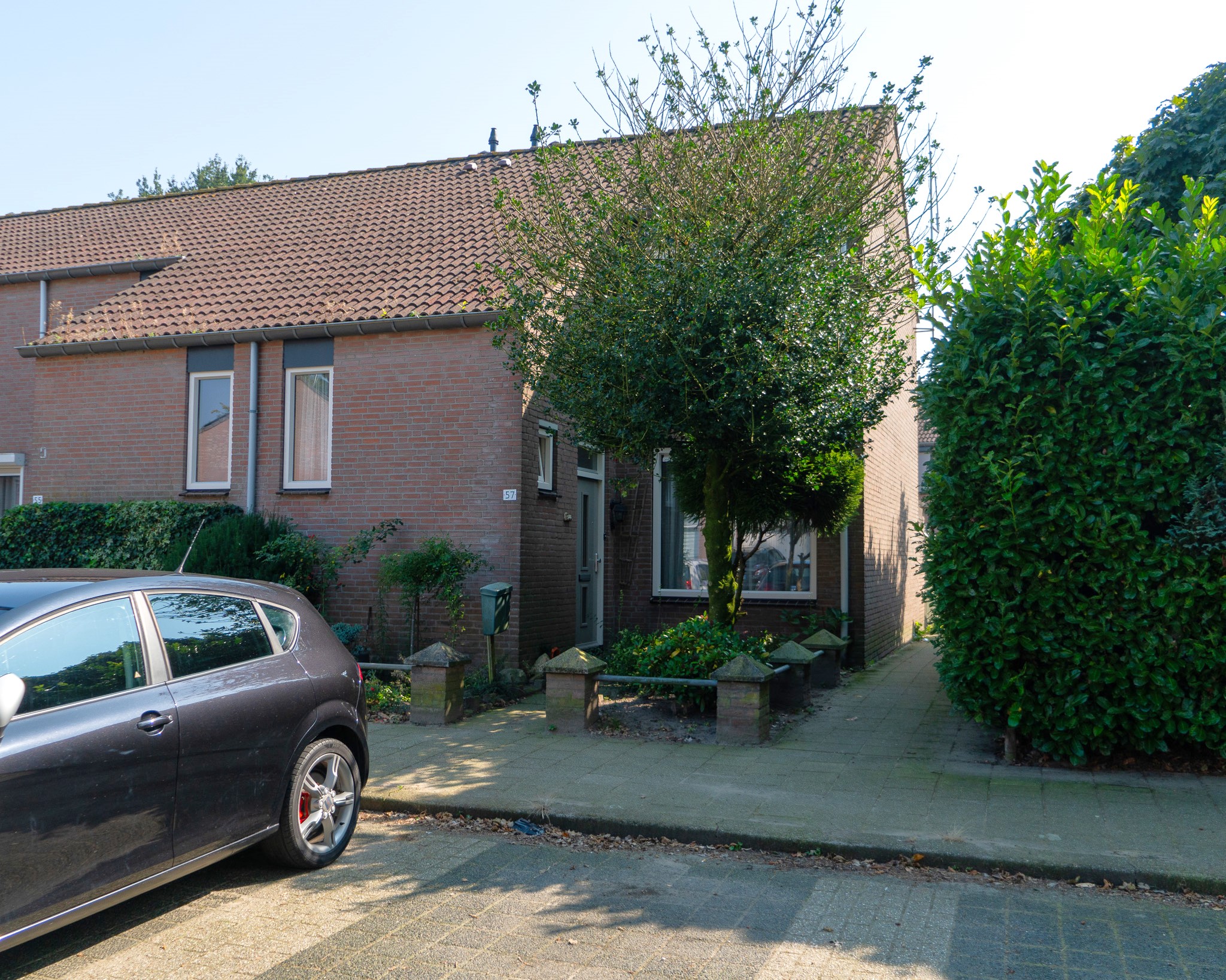 Boterbloem 57