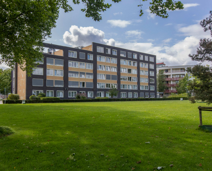 Lupinestraat 104