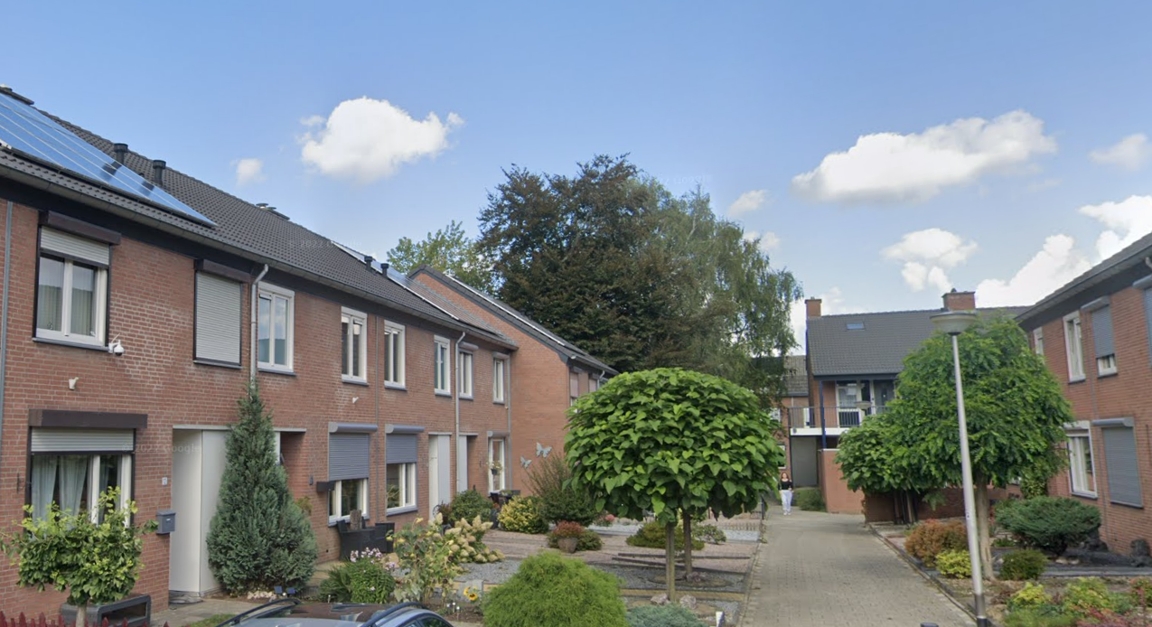 Steenbos 1