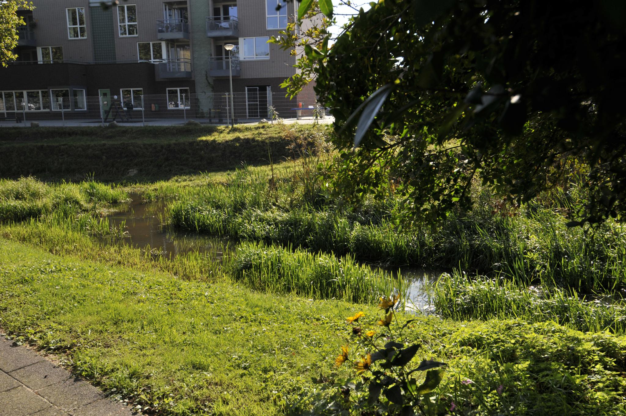 Korstehofje 6