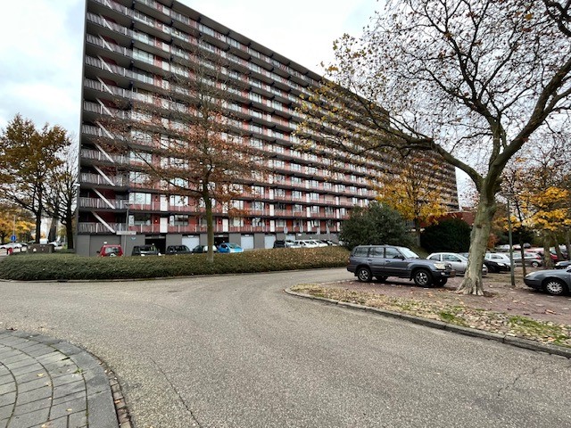 Europalaan 695