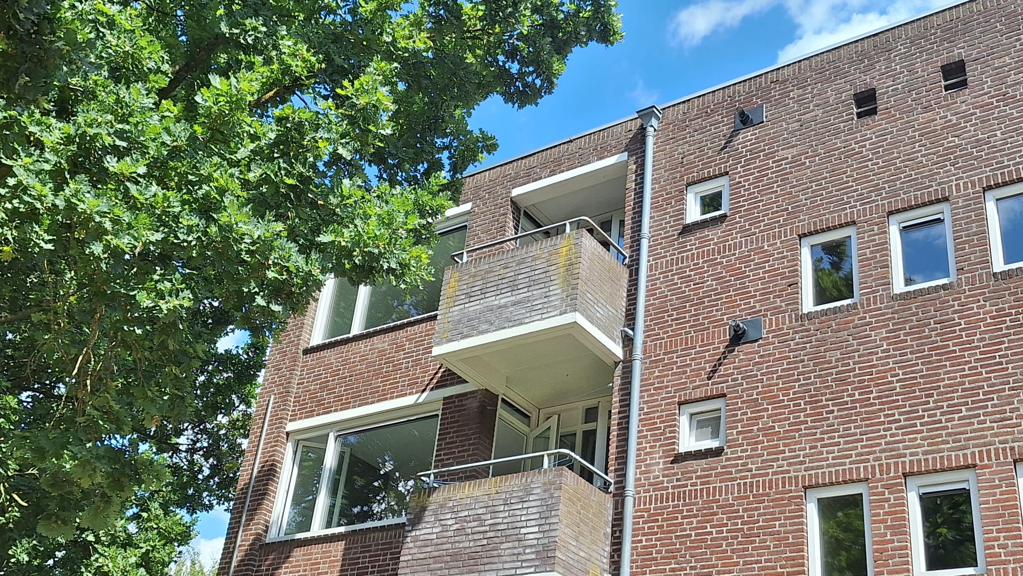Westsingel 114