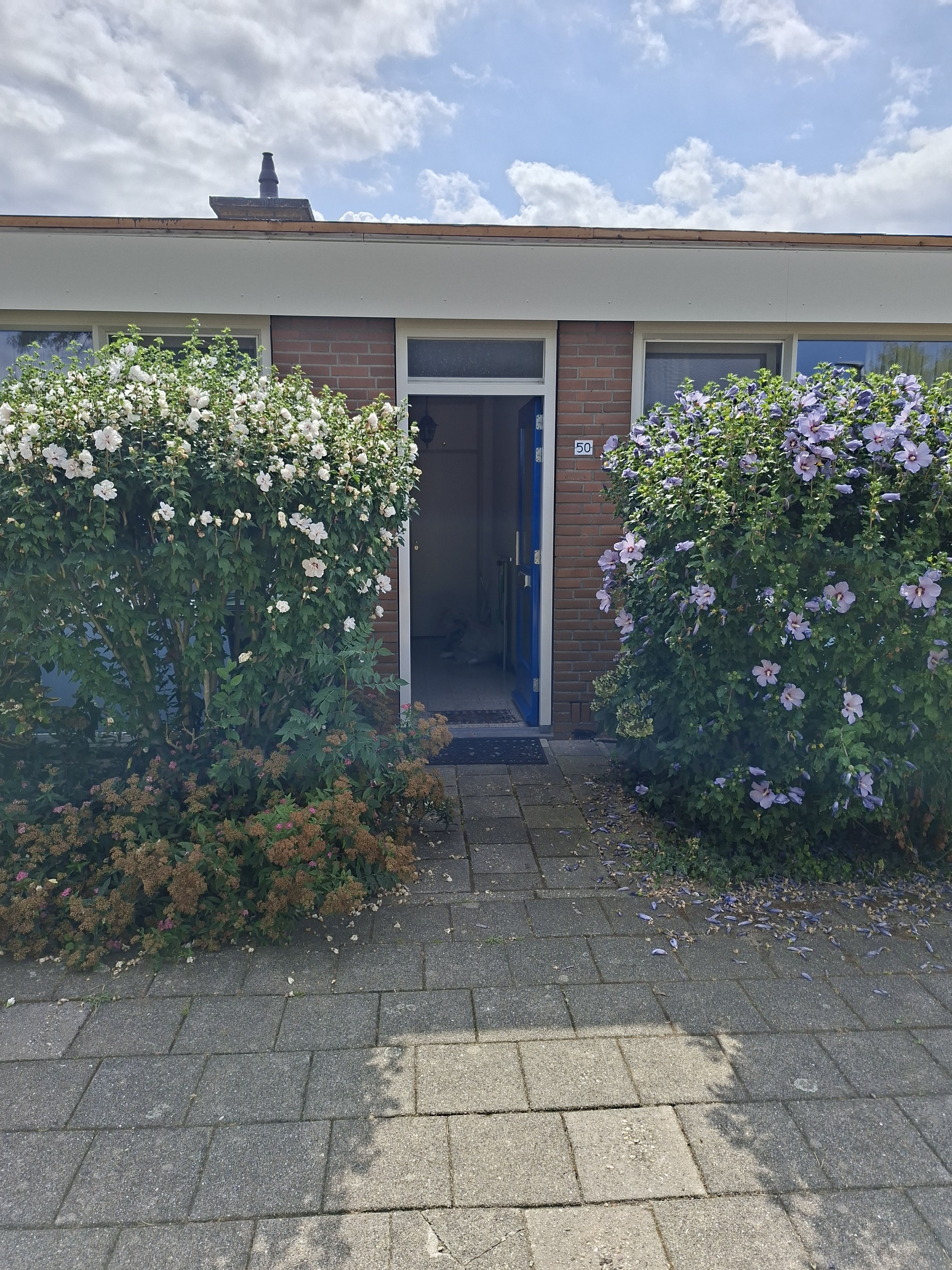 Amelbergahof 50, 6114 GZ Susteren, Nederland