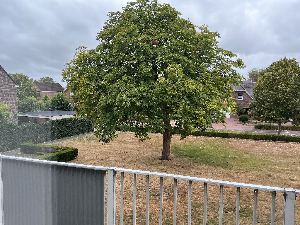 Hemelrijk 16