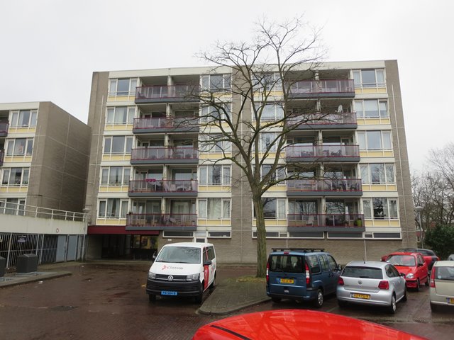 Ruijsstraat 31A