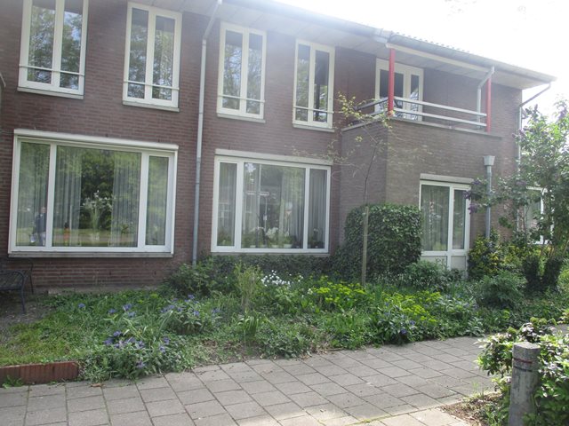 Groenveldsingel 253