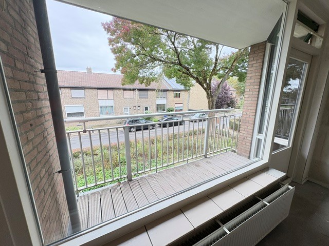 Molenstraat 111