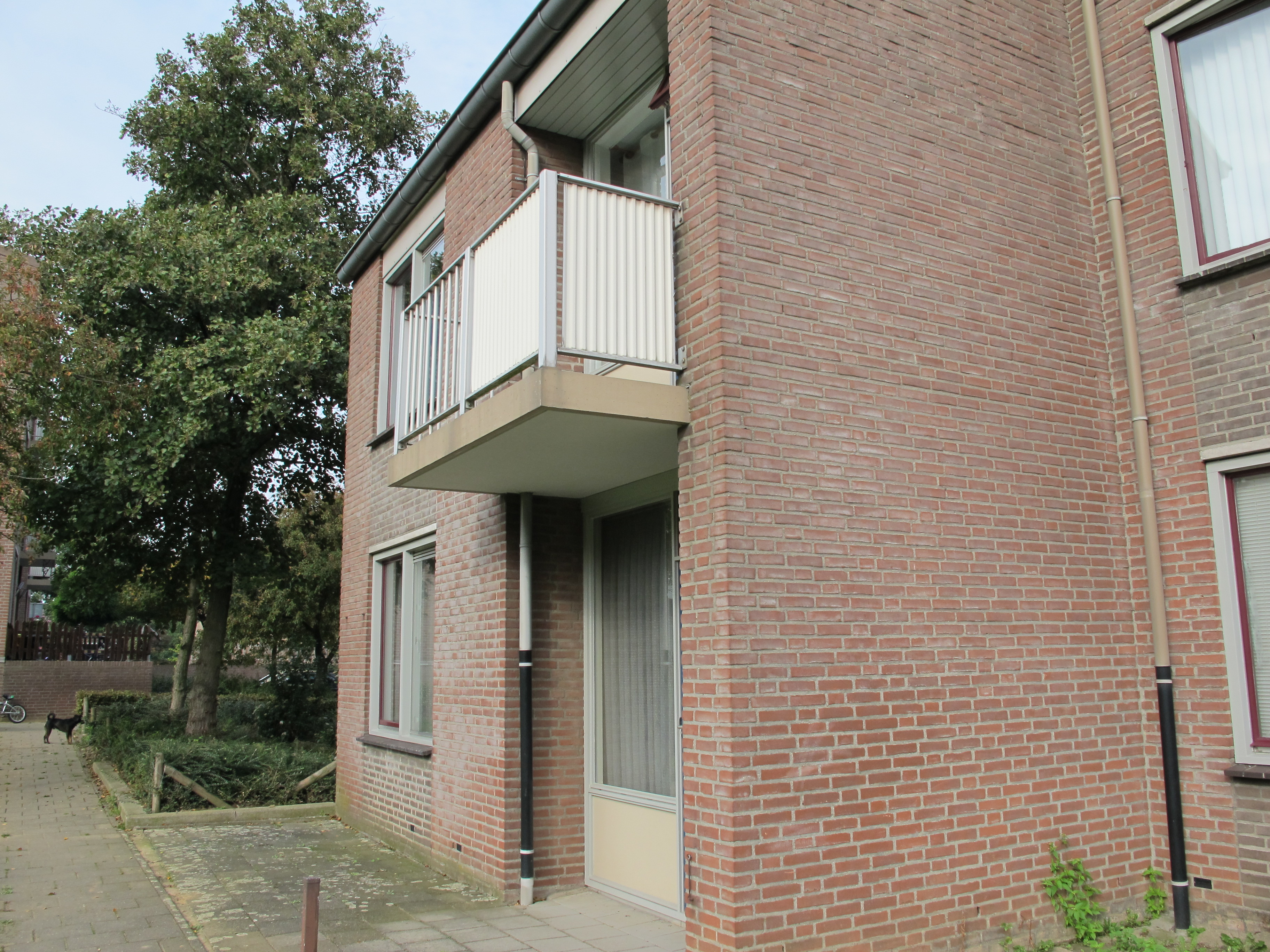 Amerstraat 39, 6163 KZ Geleen, Nederland